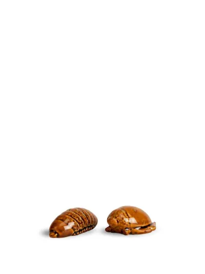 Salt & pepper Bug (12) Brown