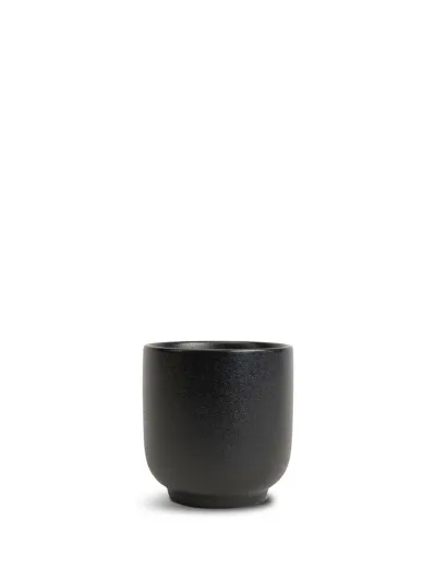 Cup Blackroot