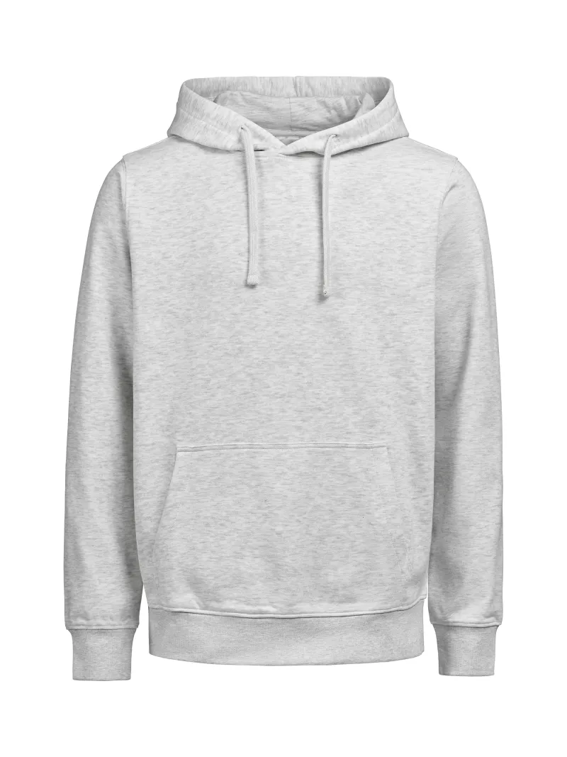 UM OCS Hoodie Regular Fit