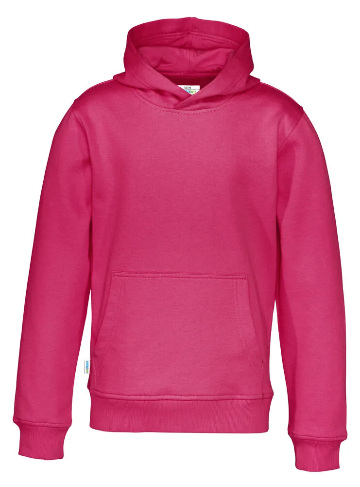 Dark Cerise