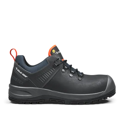 Ion GTX Low