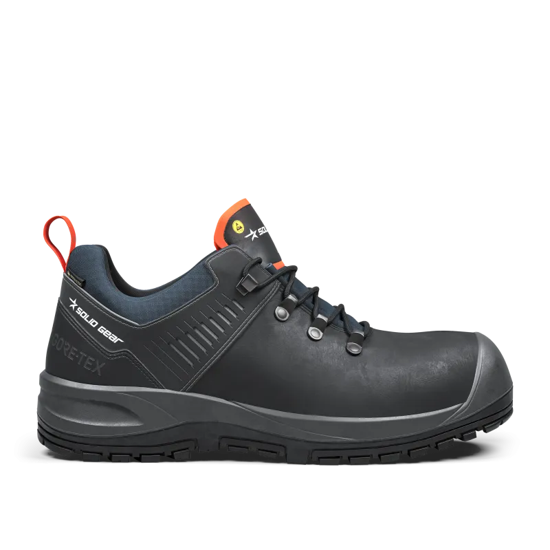 Ion GTX Low