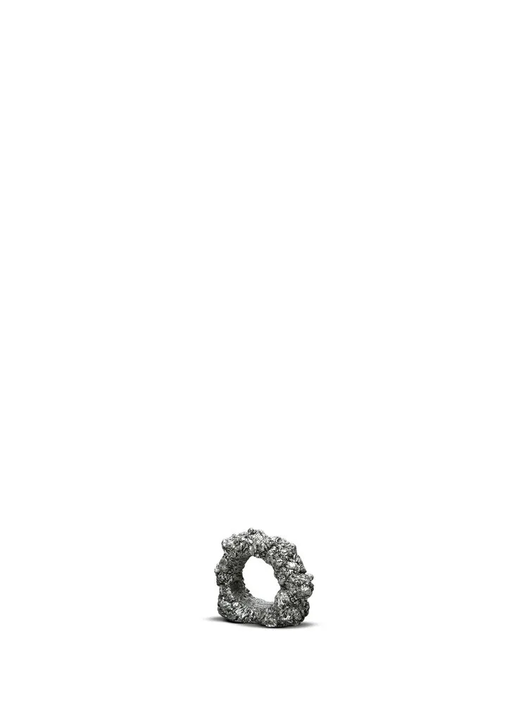 Napkin ring Minerale (12) Silver
