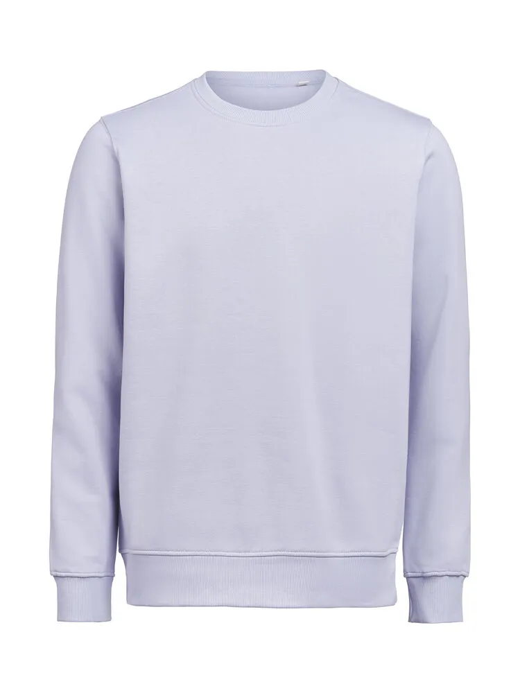 UM OCS Crewneck Regular Fit