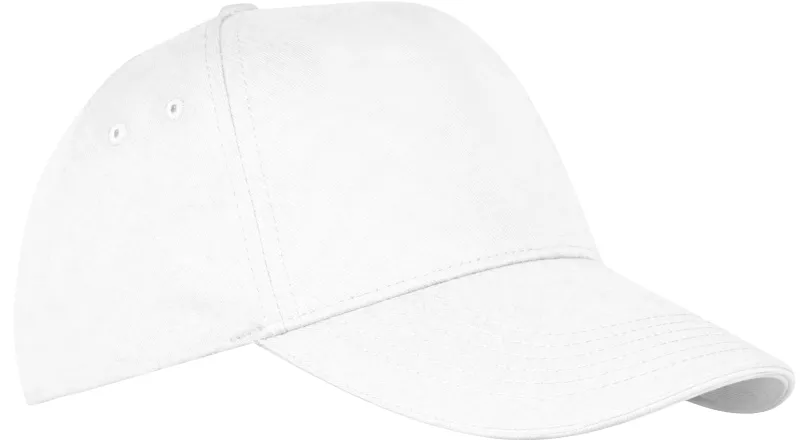 Baseball 5 panel Caps