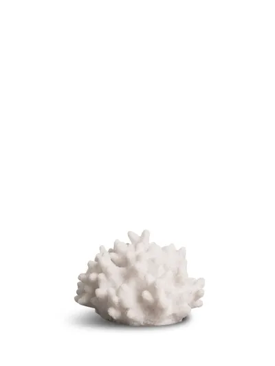 Lamp Coral Ametist (4) White