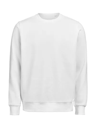 UM OCS Crewneck Regular Fit