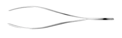 Functional Form Laksetang