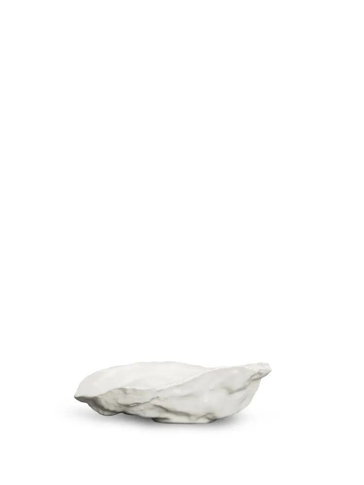 Plate Oyster (12) White