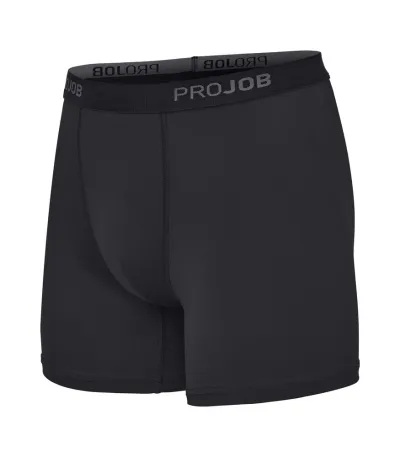 3530 Boxershorts 2-P