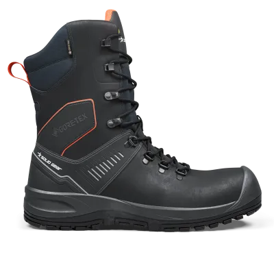 Ion GTX High